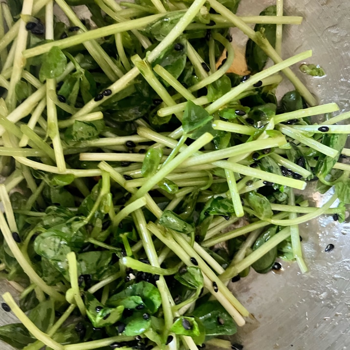 豆苗のさっぱりサラダ